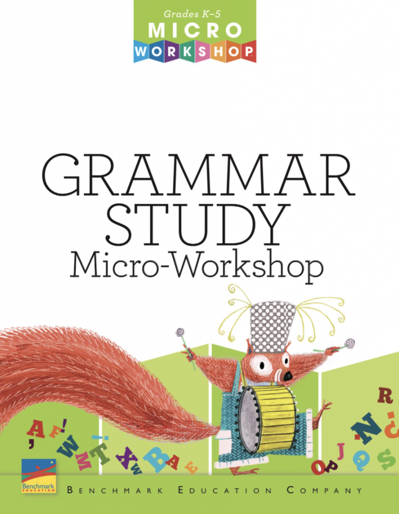 Grammar Study Mocro-Workshop book cover