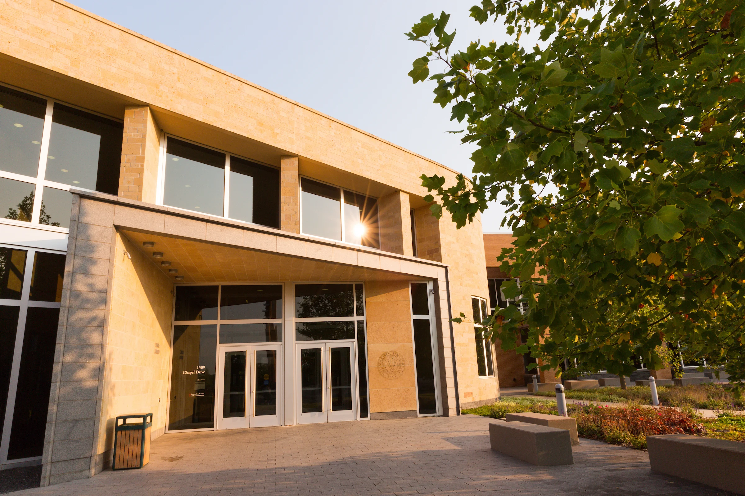 Modern building entrance with large windows, sunlight, leafy tree, benches, and a trash can nearby.