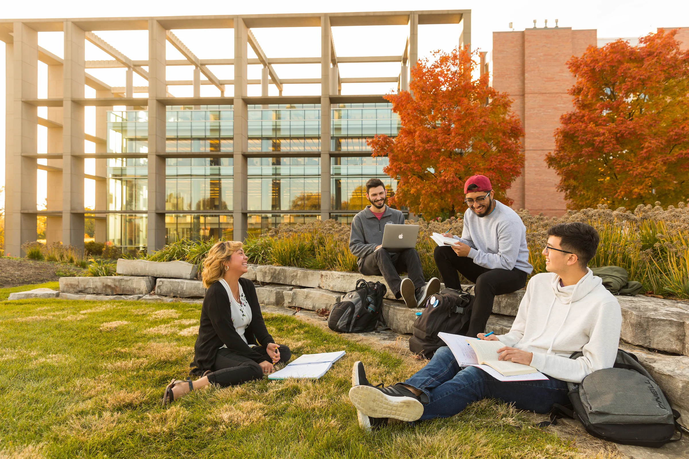 Four students study together on grass near a modern campus building with autumn trees in the background, discussing opportunities like Transfer Student Scholarships that support their academic journeys.