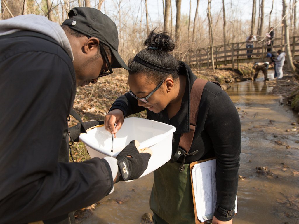 Biology-Creek-Sampling