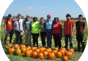 Students in a pumpkin patch