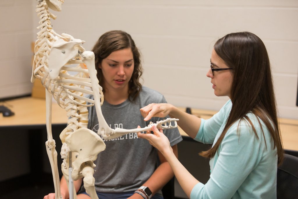 Two Valpo students study the bones of the human skeleton.