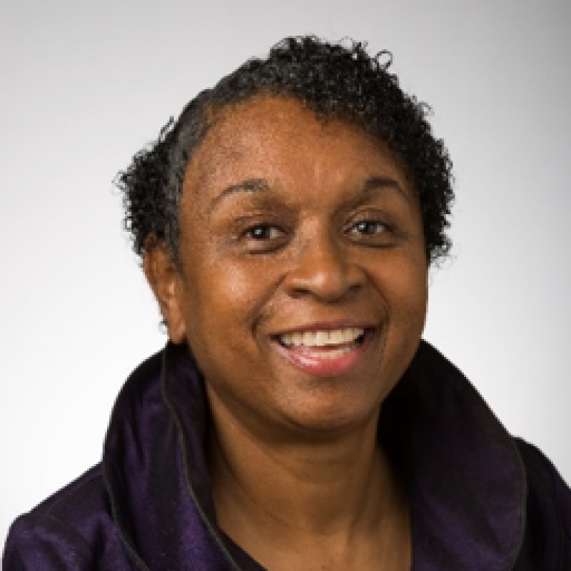 Karen Allen, Dean of College of Nursing and Health Professionals