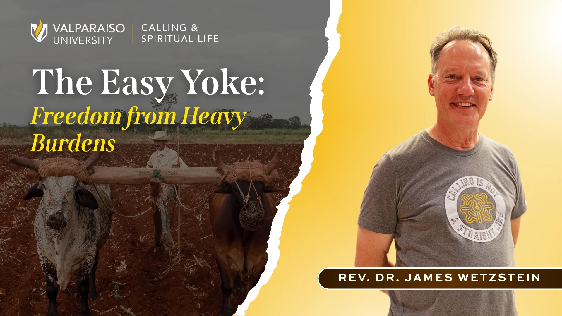 Image for news story: The Easy Yoke: Freedom from Heavy Burdens