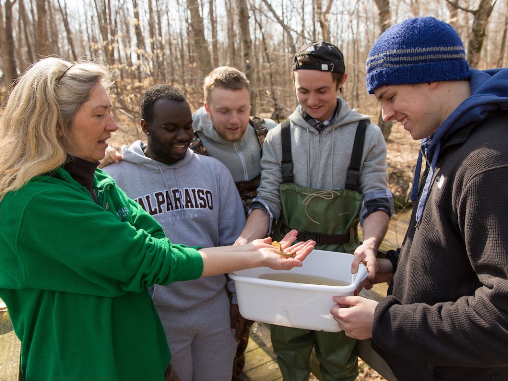 Biology-Creek-Sampling