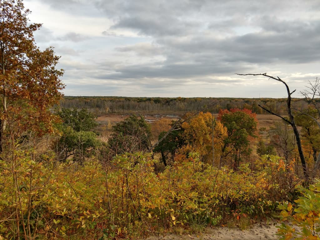 The Indiana Dunes National Lakeshore