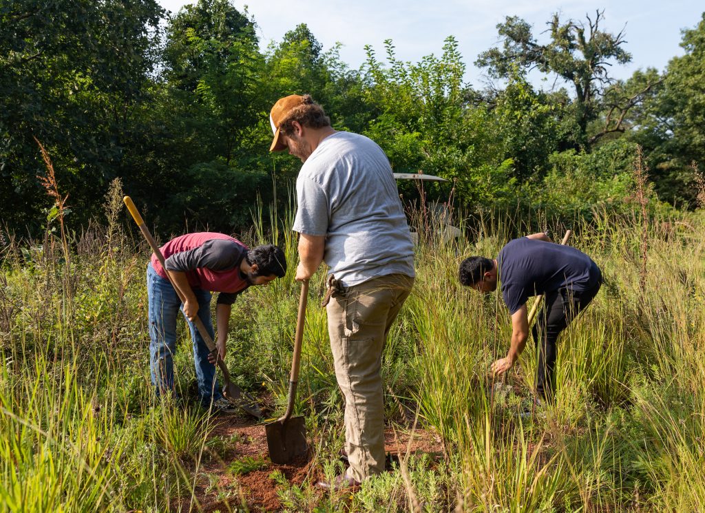 Campus Service Projects