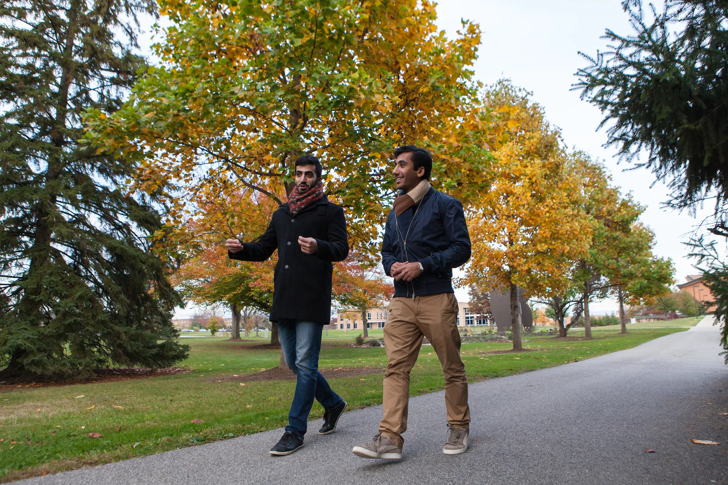 Fall-Foliage-On-Campus