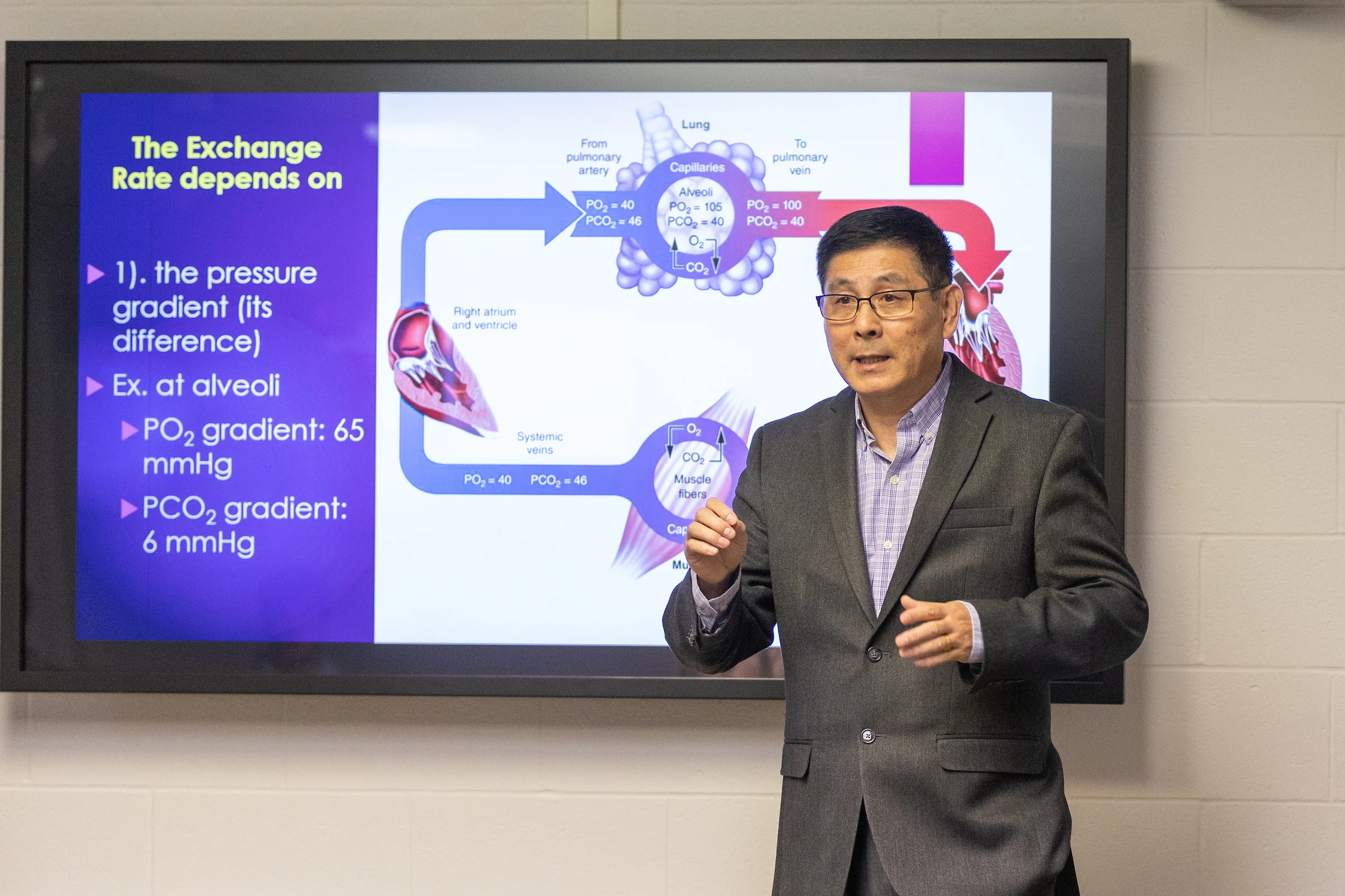 A Valparaiso University exercise science professor teaches a class, speaking to students in front of a TV screen on the wall of a classroom.