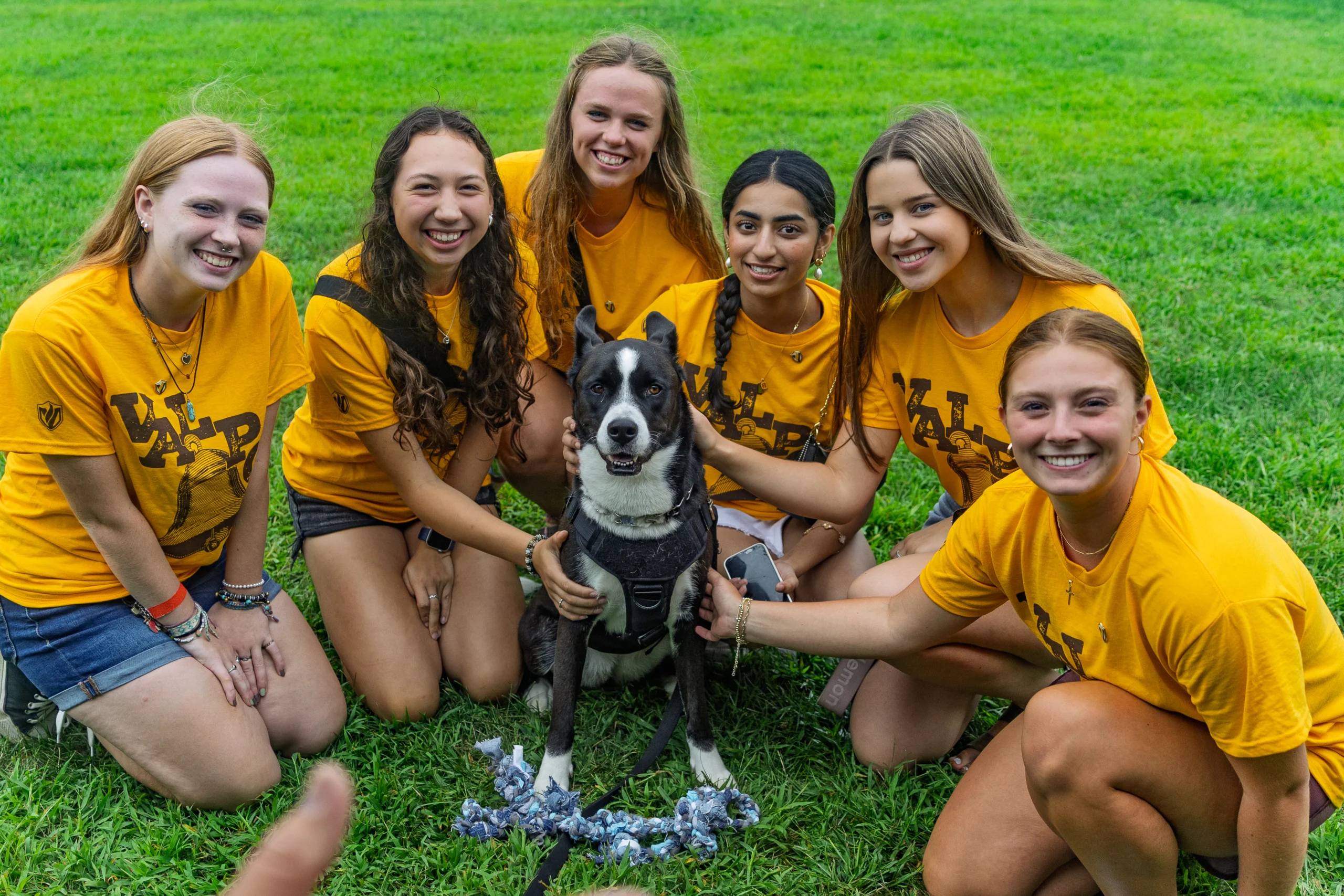 Six smiling young women in yellow shirts pose with a black and white dog on green grass, celebrating Welcome Week.