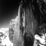 Sheer granite face of Half Dome rises above snowy cliffs in this dramatic black and white landscape photograph, now part of our Permanent Collection.