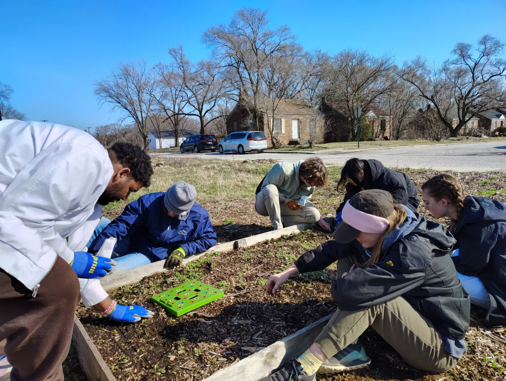 Six Valparaiso University students are planting seedlings together in a community garden bed on a sunny Spring Break 2026 day, showing how Students Serve their community.