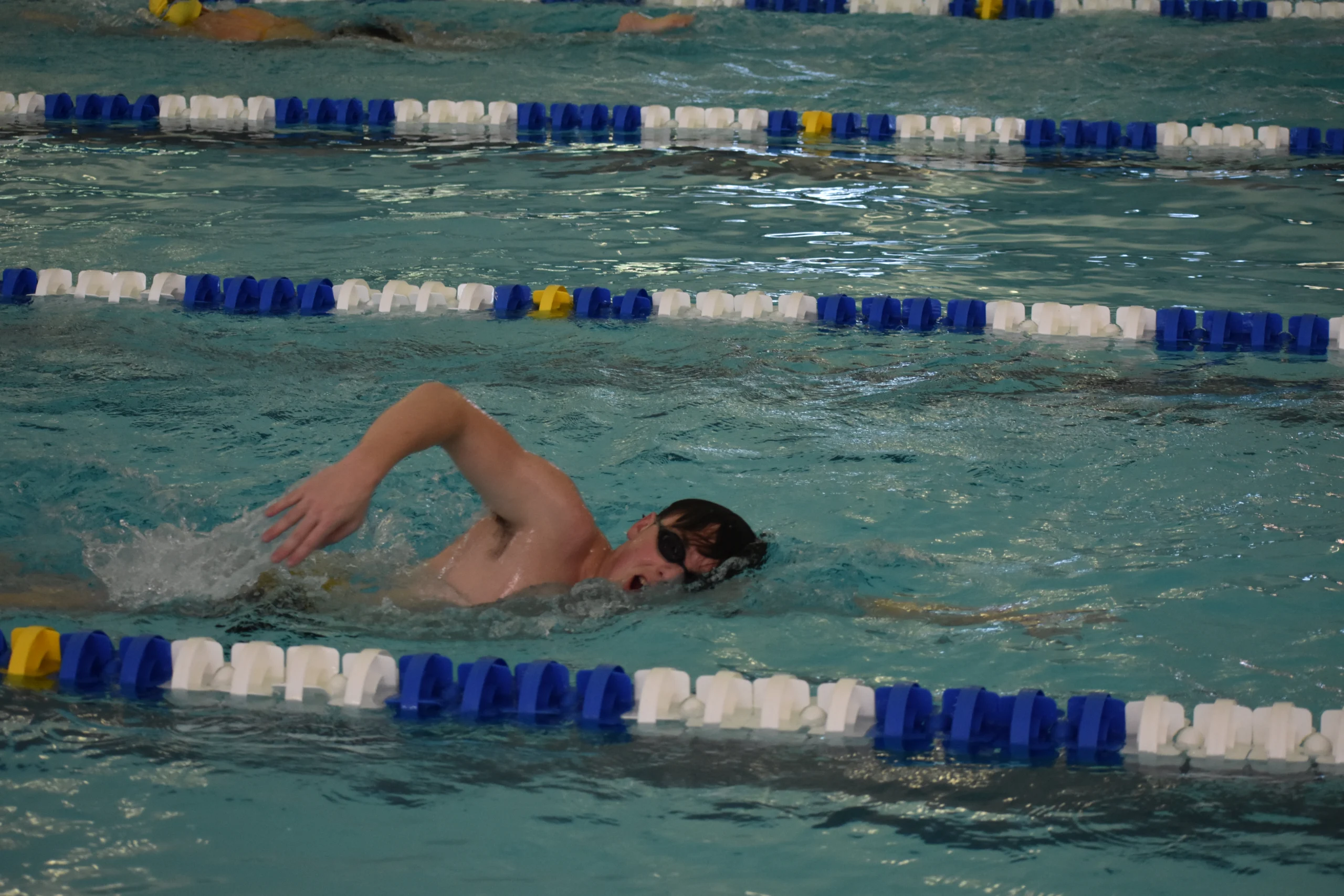 A swimmer, reminiscent of up-and-coming career athletes like Ricky Helmboldt, does freestyle in a lane of an indoor pool, surrounded by lane dividers.