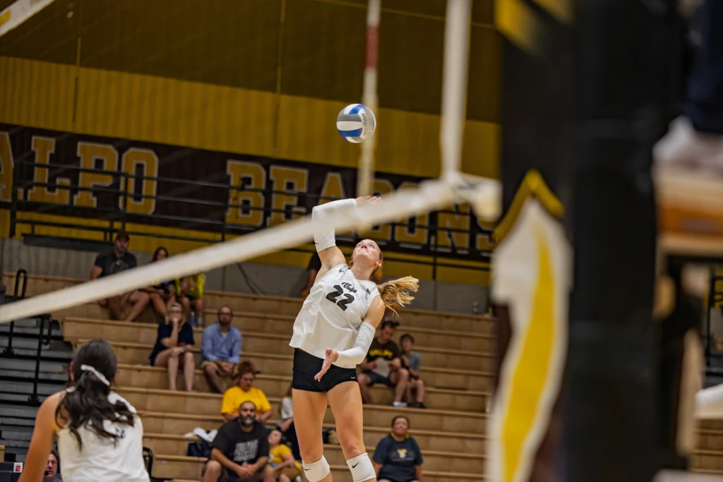 A volleyball player in a white jersey jumps to hit the ball during an athletics game in a gymnasium.