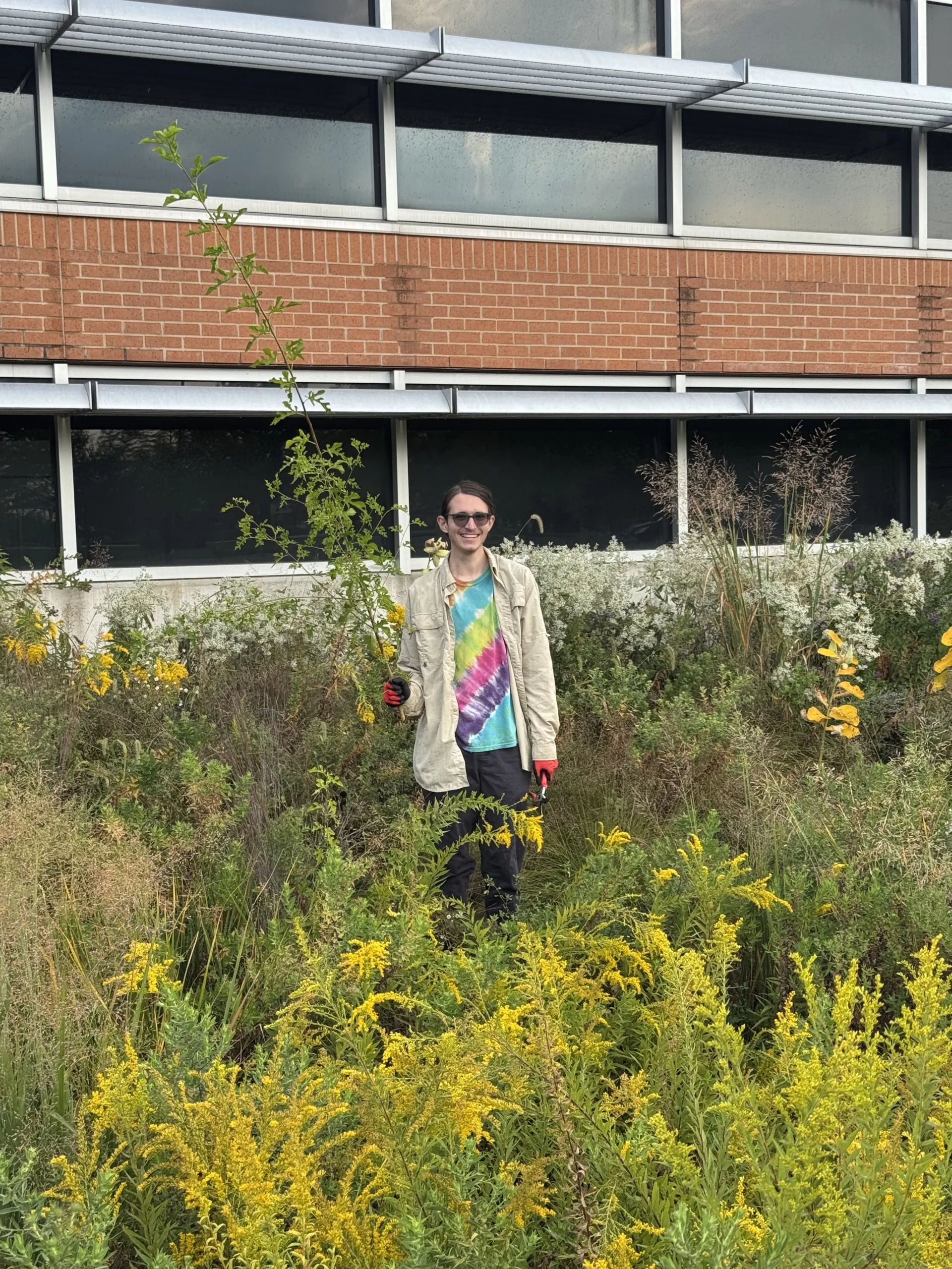 Valparaiso University environmental engineering student Alex Miroballi ’27 smiles as they hold up a long plant stalk in front of the Gellersen Engineering and Mathematics Center.